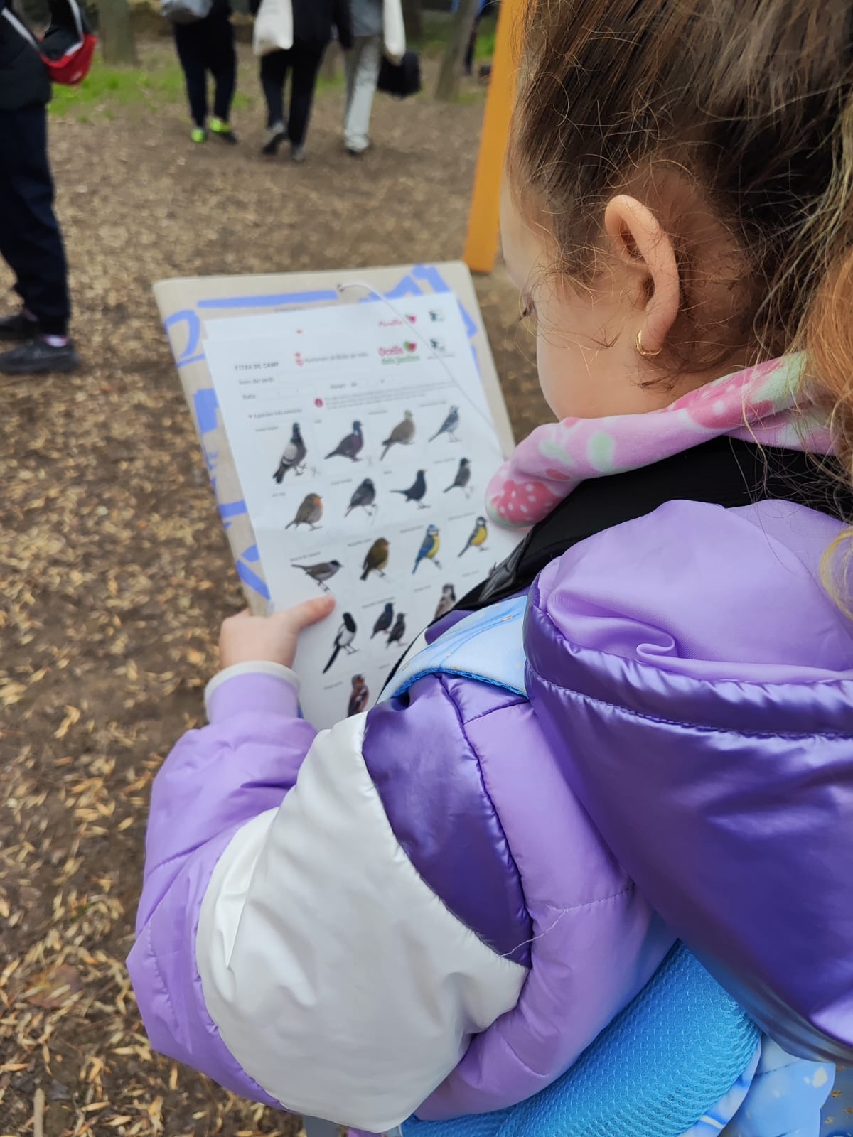 WhatsApp Image 2025-11-29 at 14.09.04