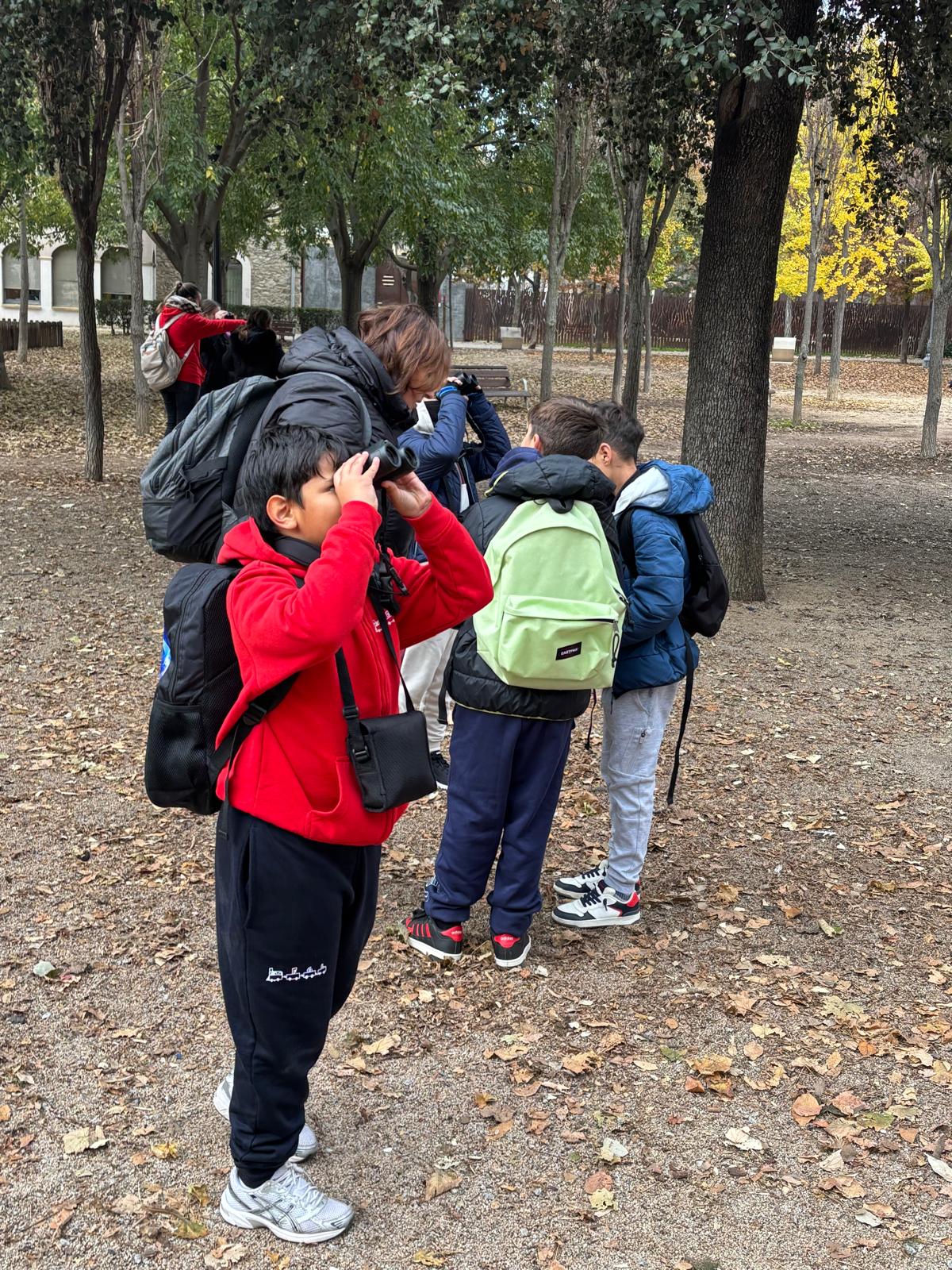 WhatsApp Image 2025-11-29 at 14.09.05 (3)