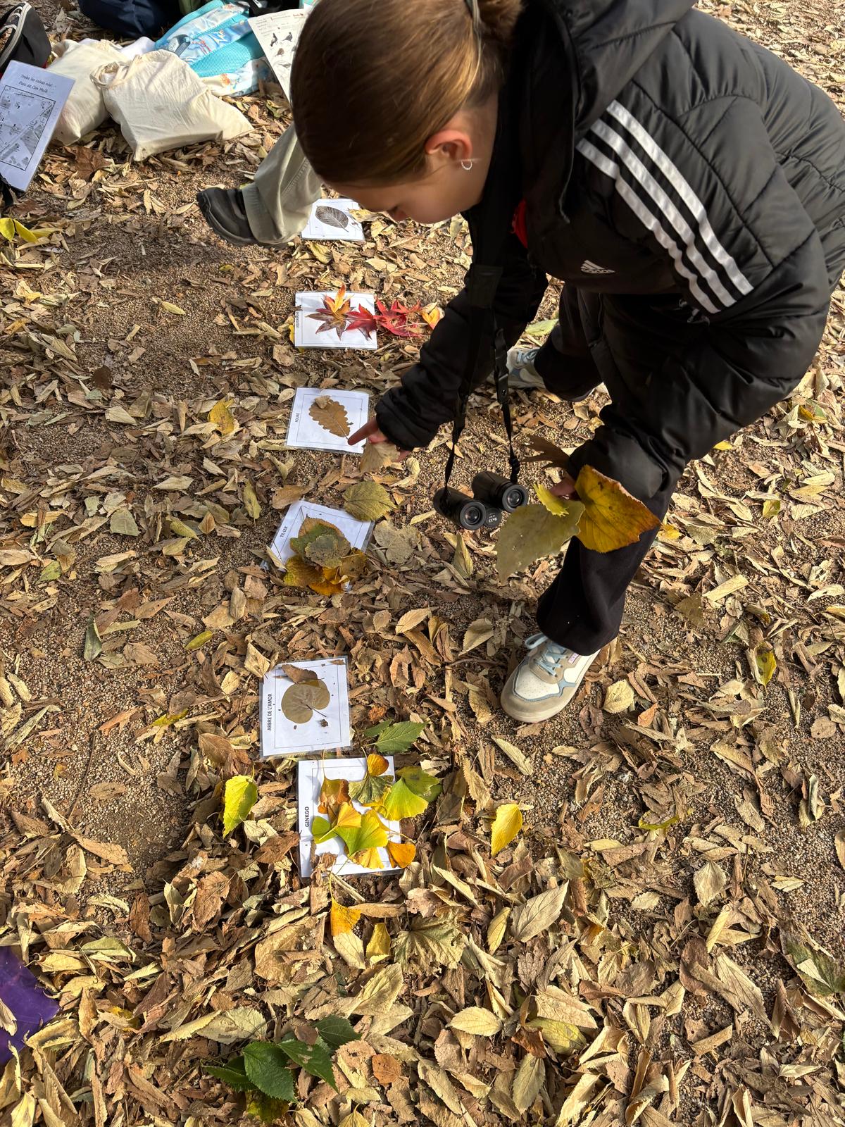 WhatsApp Image 2025-11-29 at 14.09.05