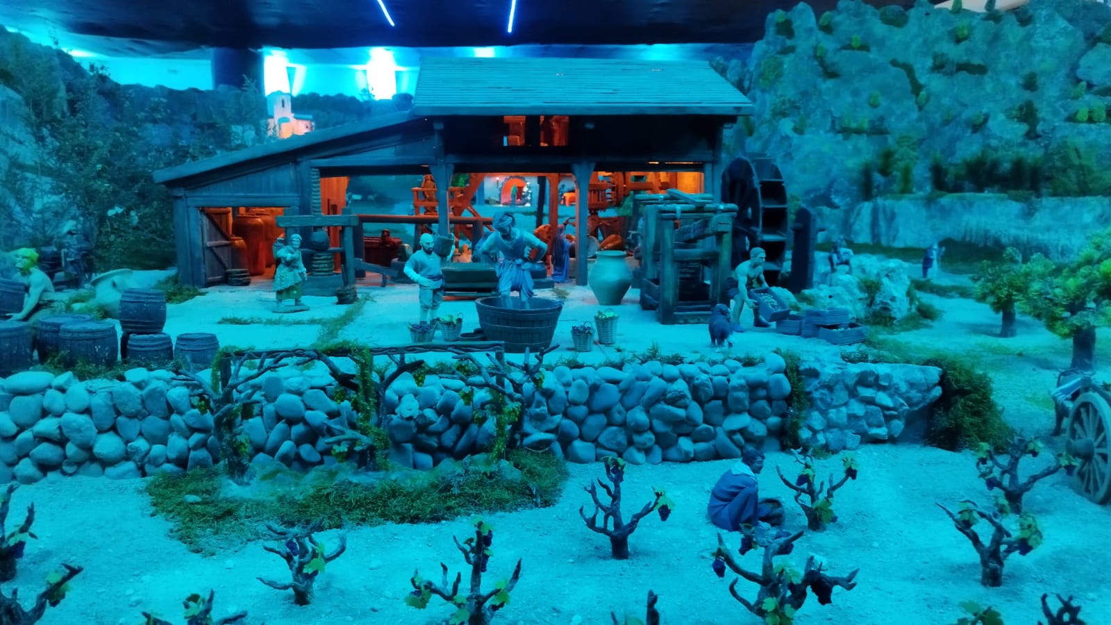 WhatsApp Image 2025-12-12 at 17.04.31 (3)