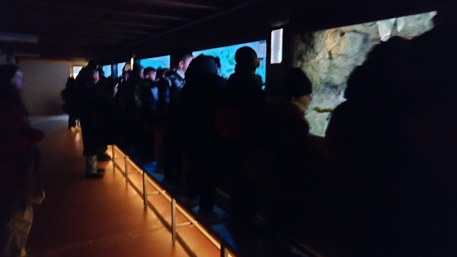 WhatsApp Image 2025-12-12 at 17.04.31 (5)