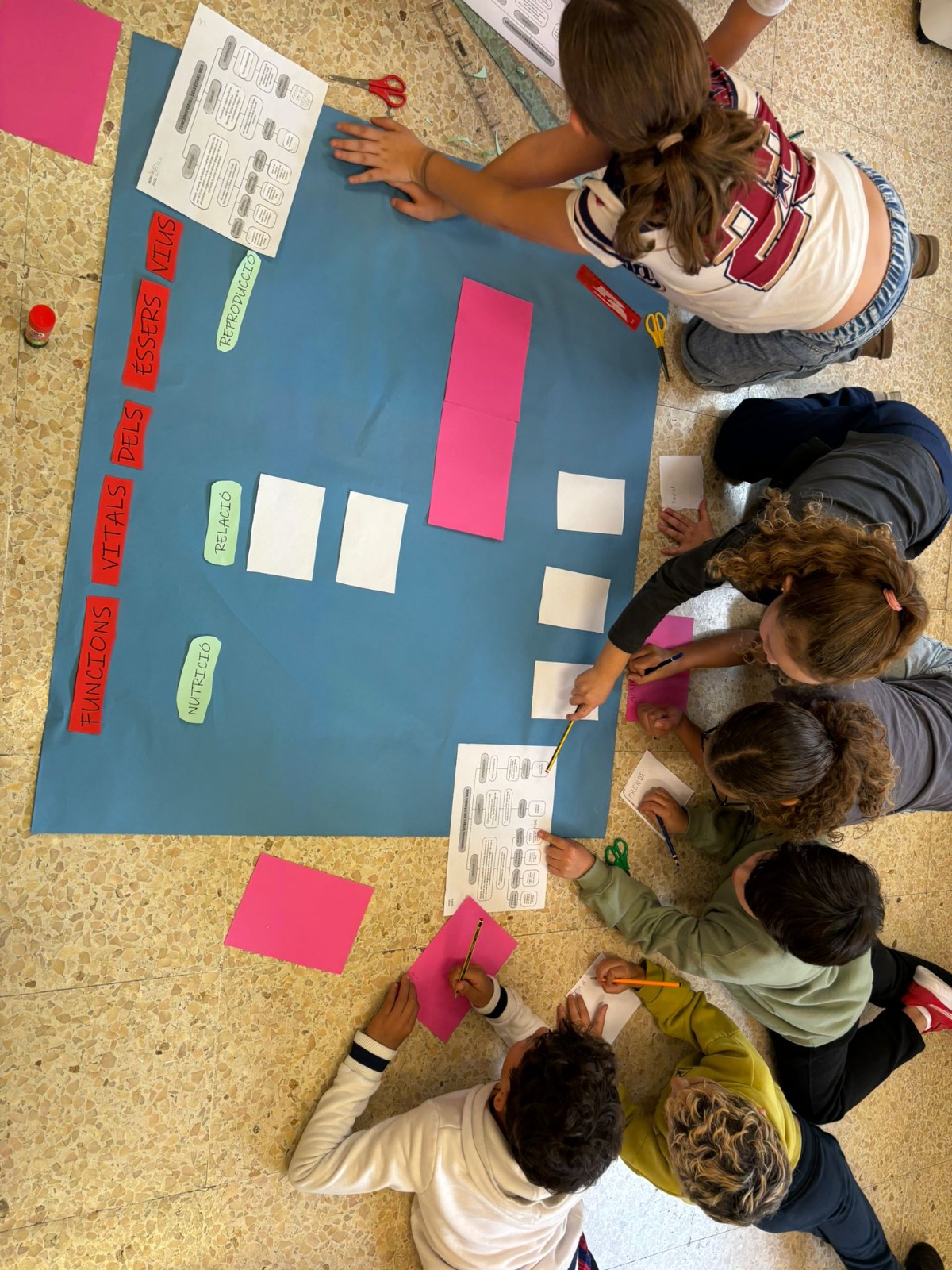 WhatsApp Image 2025-12-16 at 10.56.15 (2)