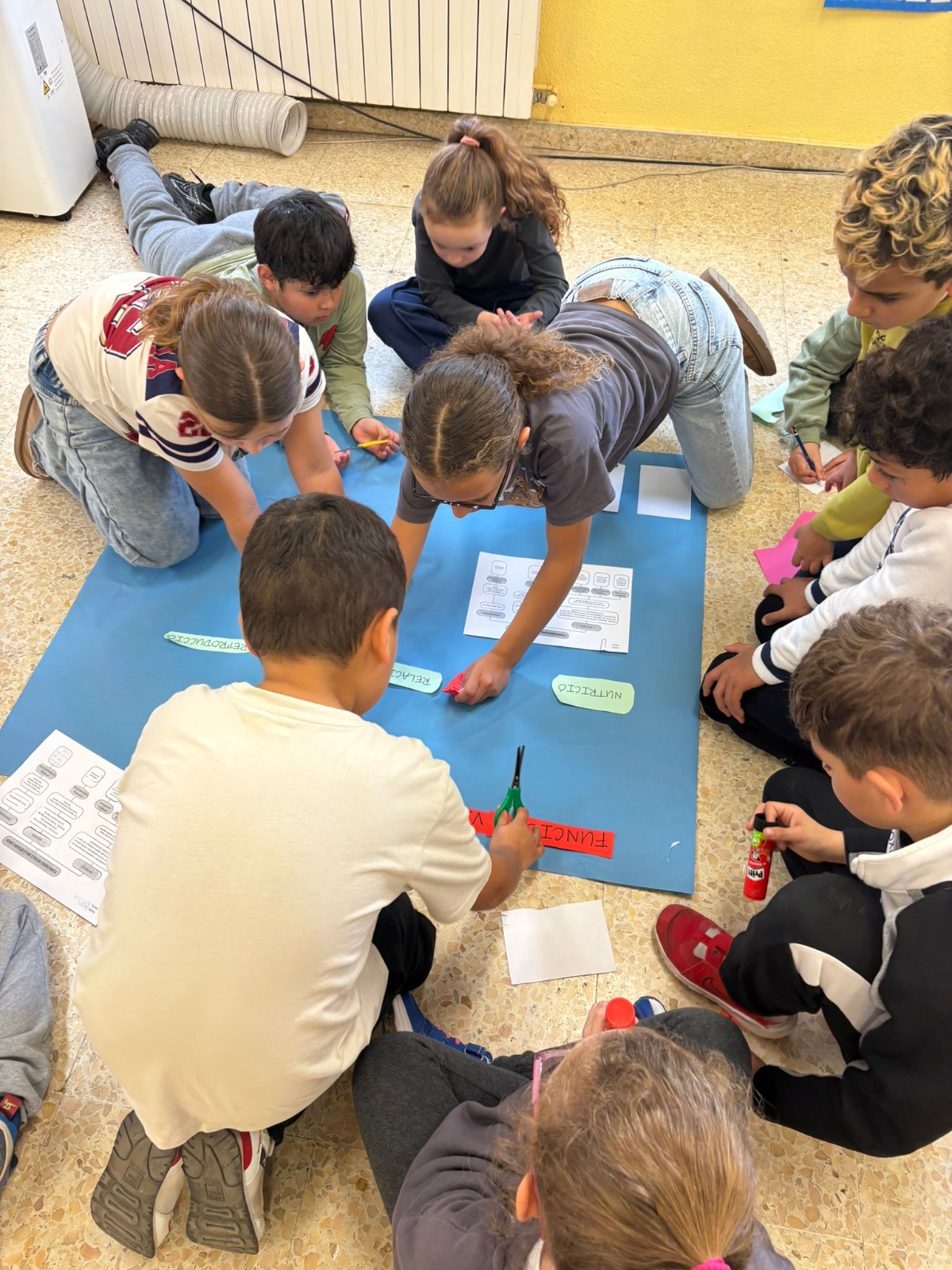 WhatsApp Image 2025-12-16 at 10.56.15