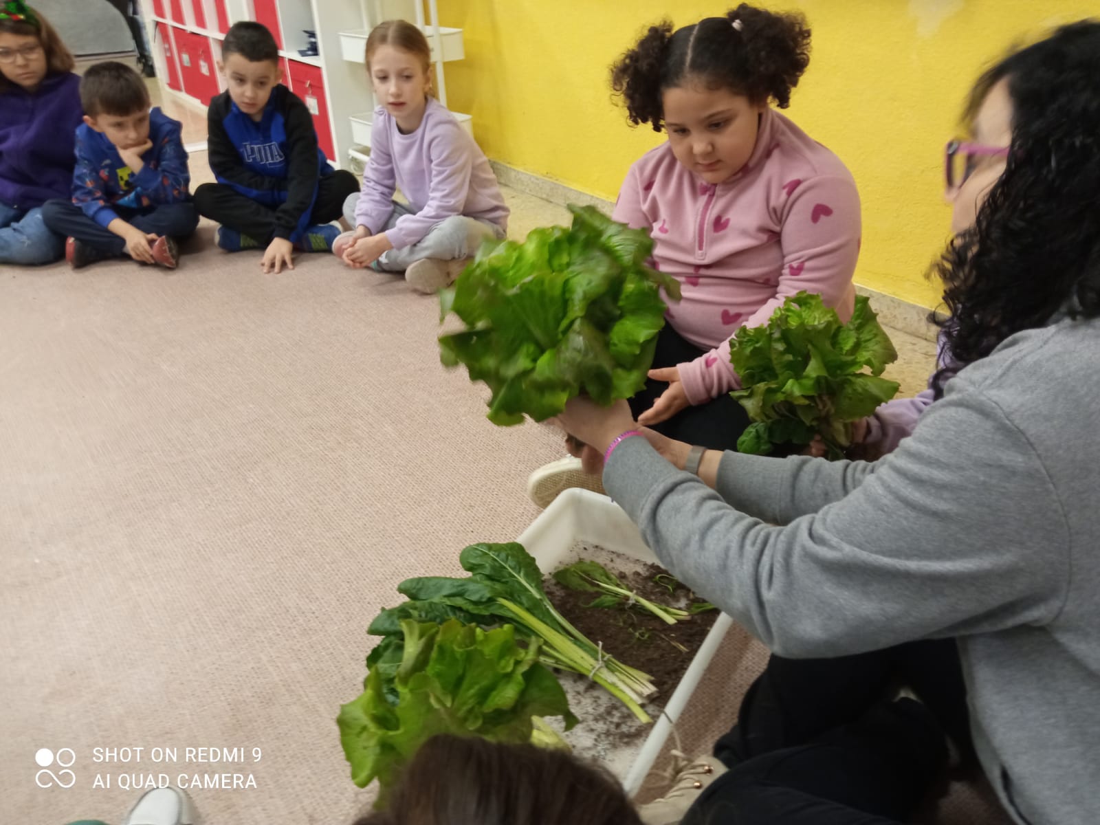 WhatsApp Image 2025-12-18 at 12.15.23 (1)