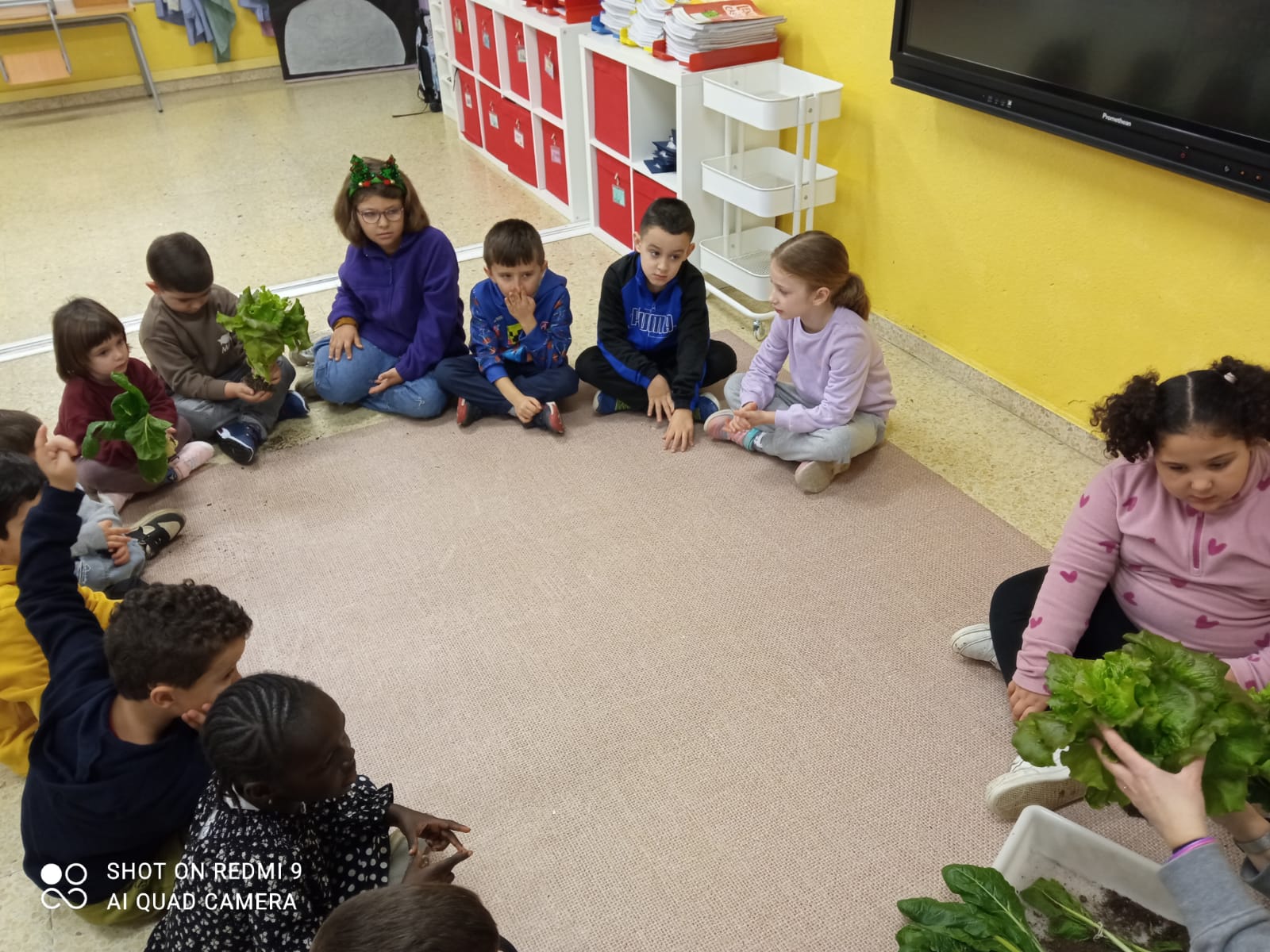 WhatsApp Image 2025-12-18 at 12.15.23