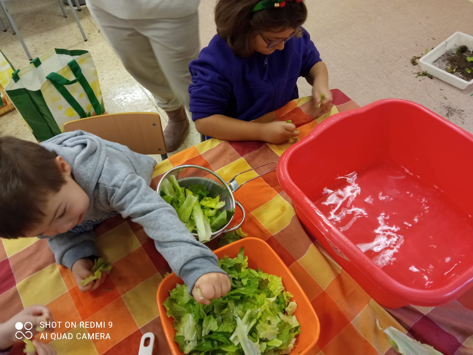 WhatsApp Image 2025-12-18 at 12.15.29 (2)