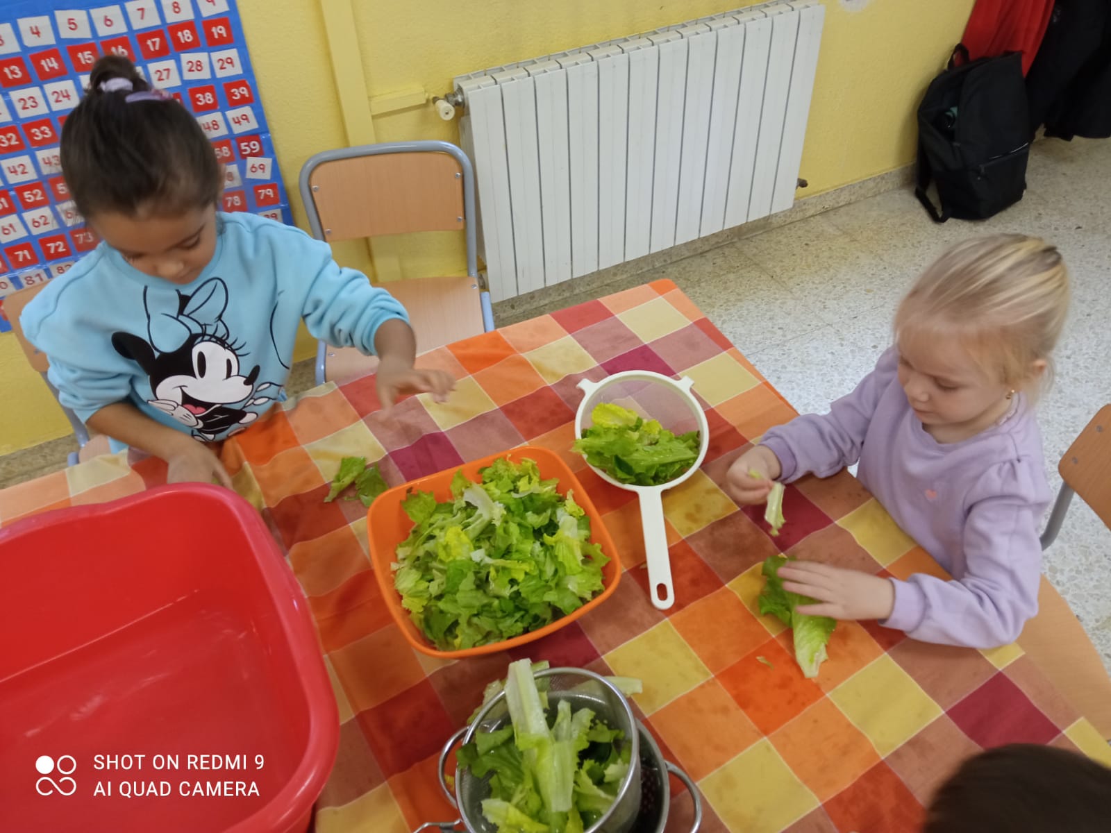 WhatsApp Image 2025-12-18 at 12.15.30