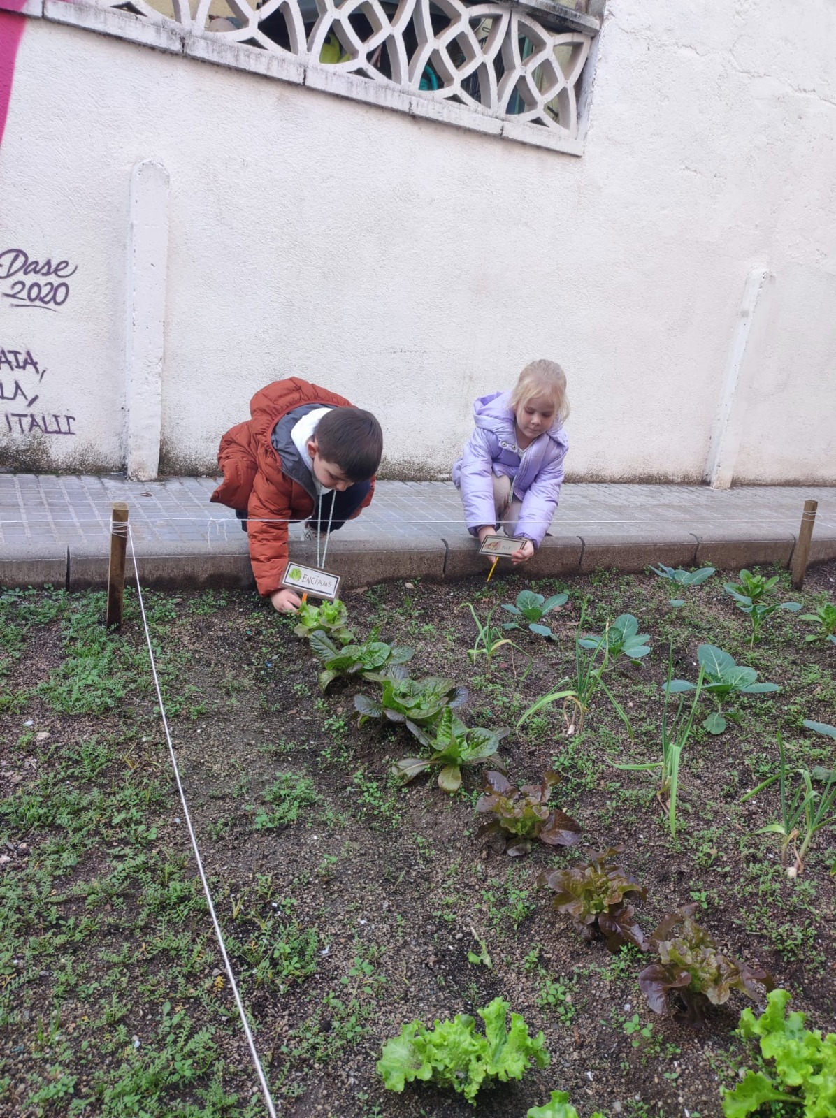 WhatsApp Image 2025-12-18 at 12.17.25 (2)