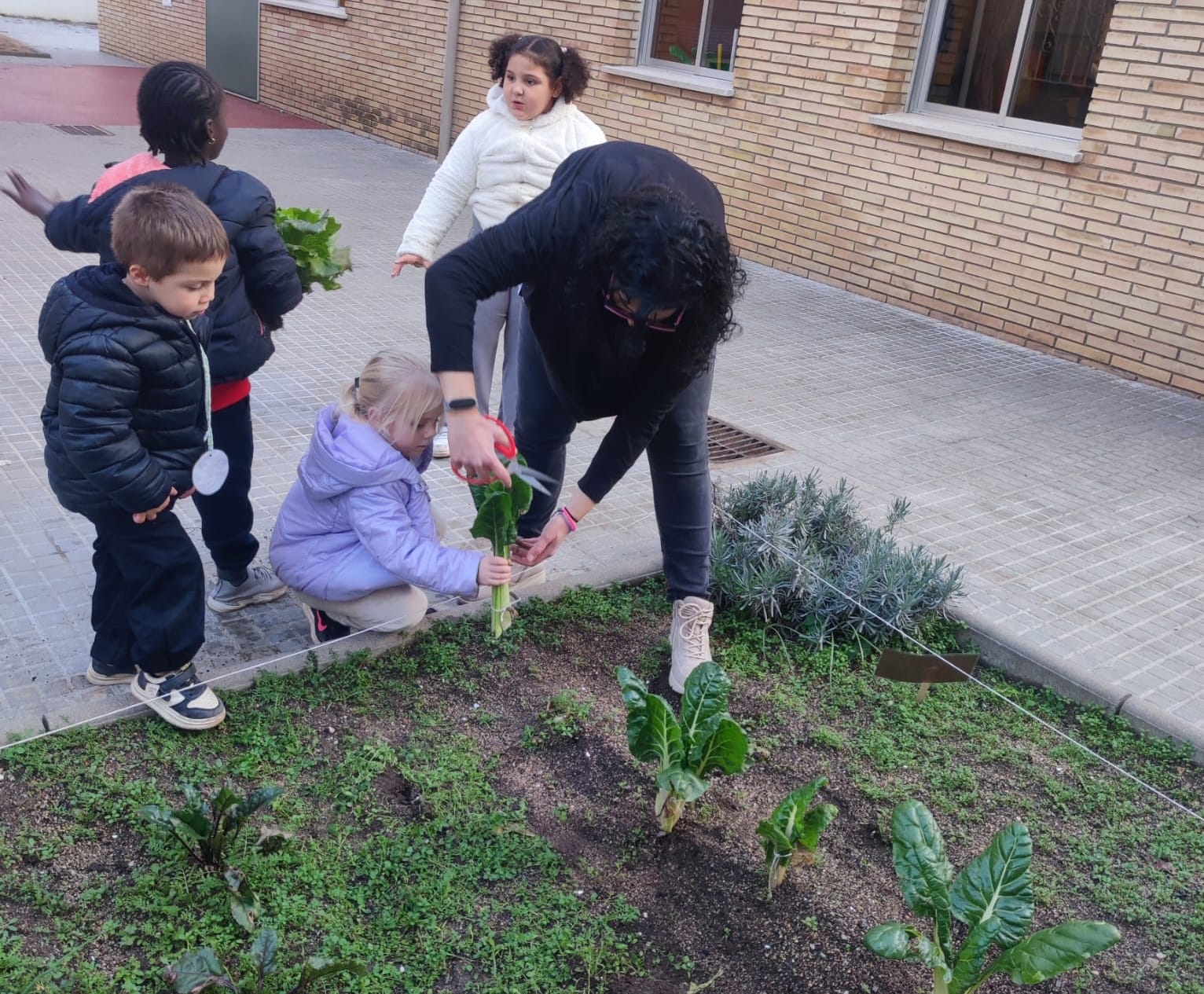 WhatsApp Image 2025-12-18 at 12.17.25 (4)