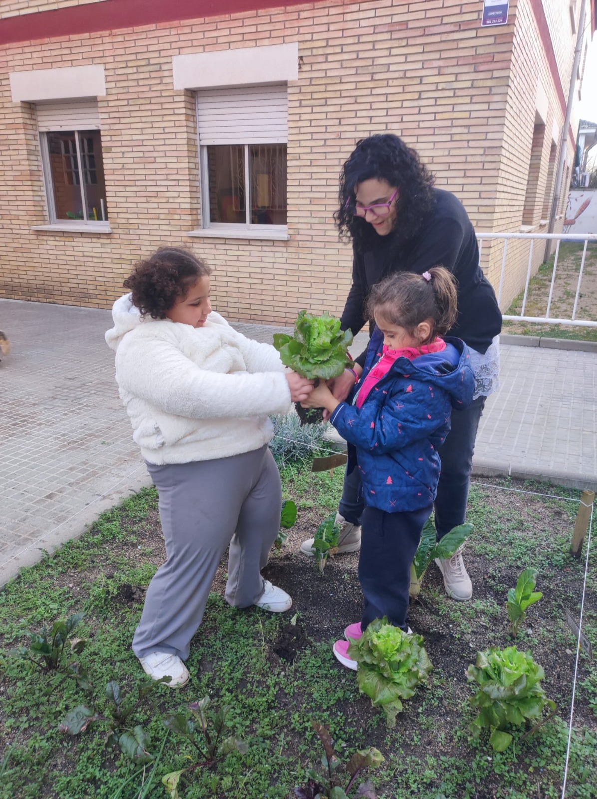 WhatsApp Image 2025-12-18 at 12.17.25