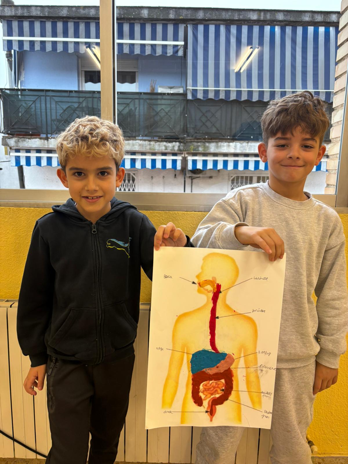 WhatsApp Image 2026-01-21 at 11.01.23 (1)