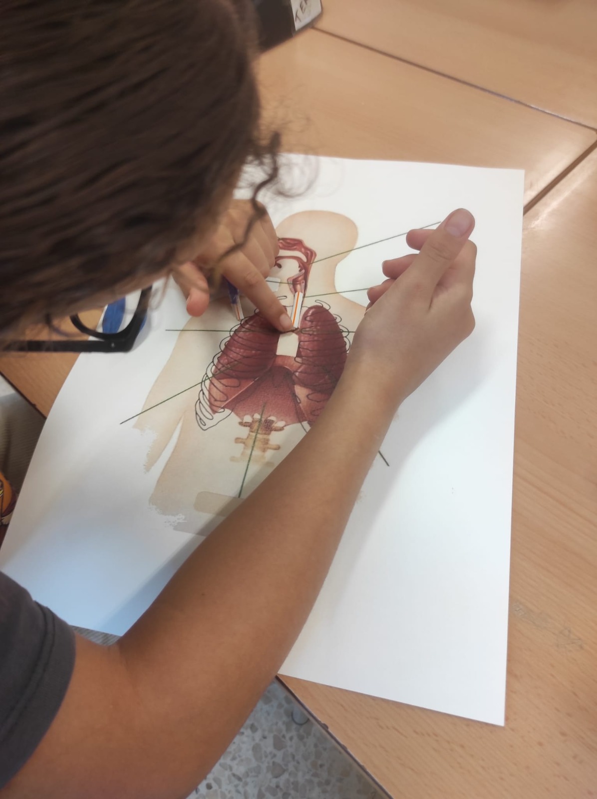 WhatsApp Image 2026-01-21 at 11.01.23 (4)