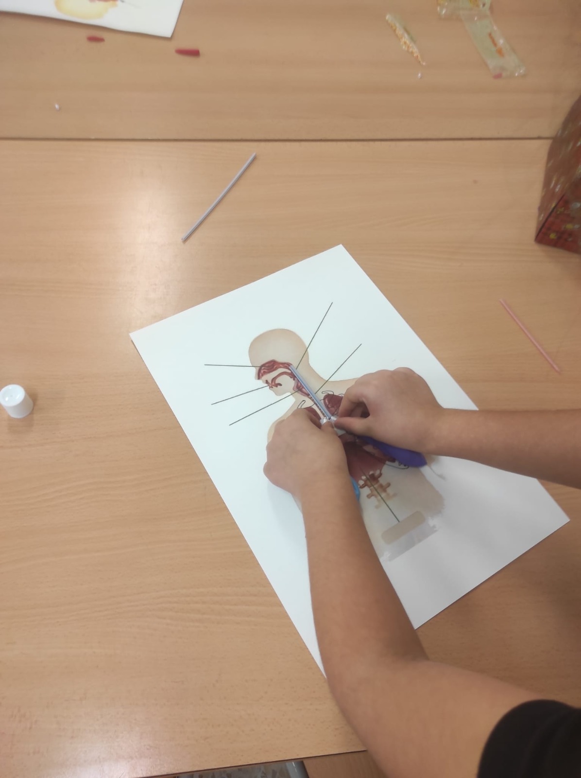 WhatsApp Image 2026-01-21 at 11.01.23 (5)