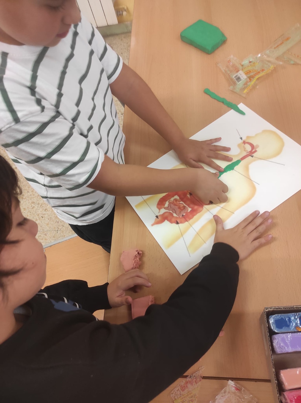 WhatsApp Image 2026-01-21 at 11.01.23 (6)