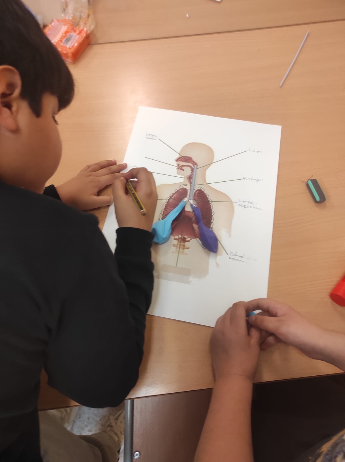 WhatsApp Image 2026-01-21 at 11.01.23 (8)