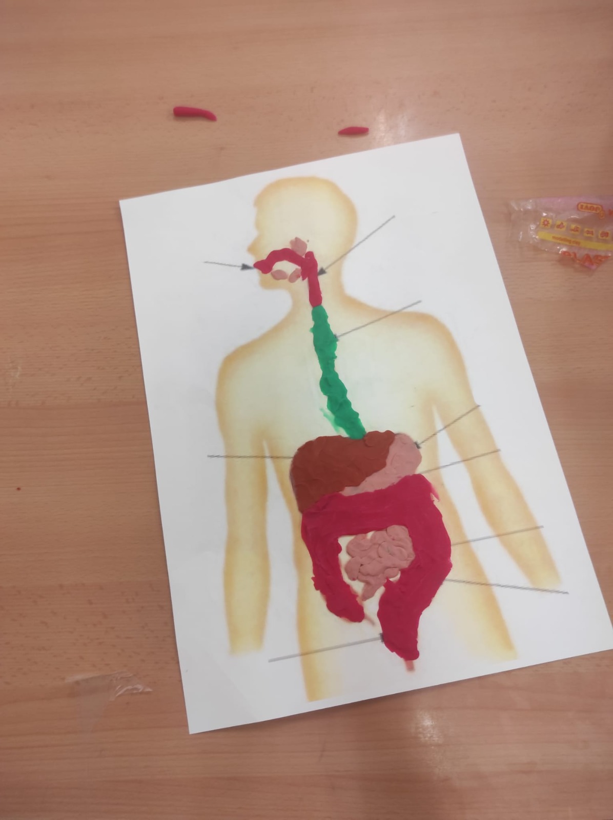 WhatsApp Image 2026-01-21 at 11.01.24