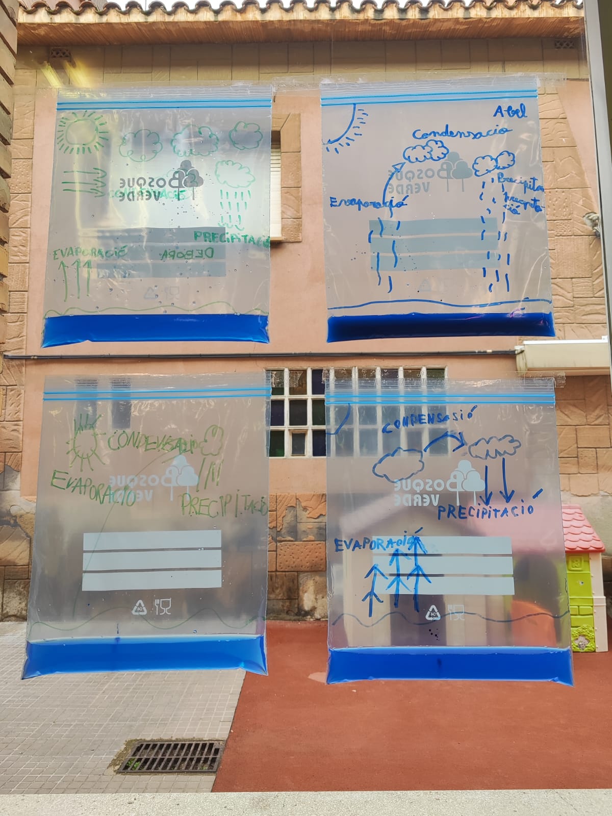 WhatsApp Image 2026-01-27 at 10.55.31