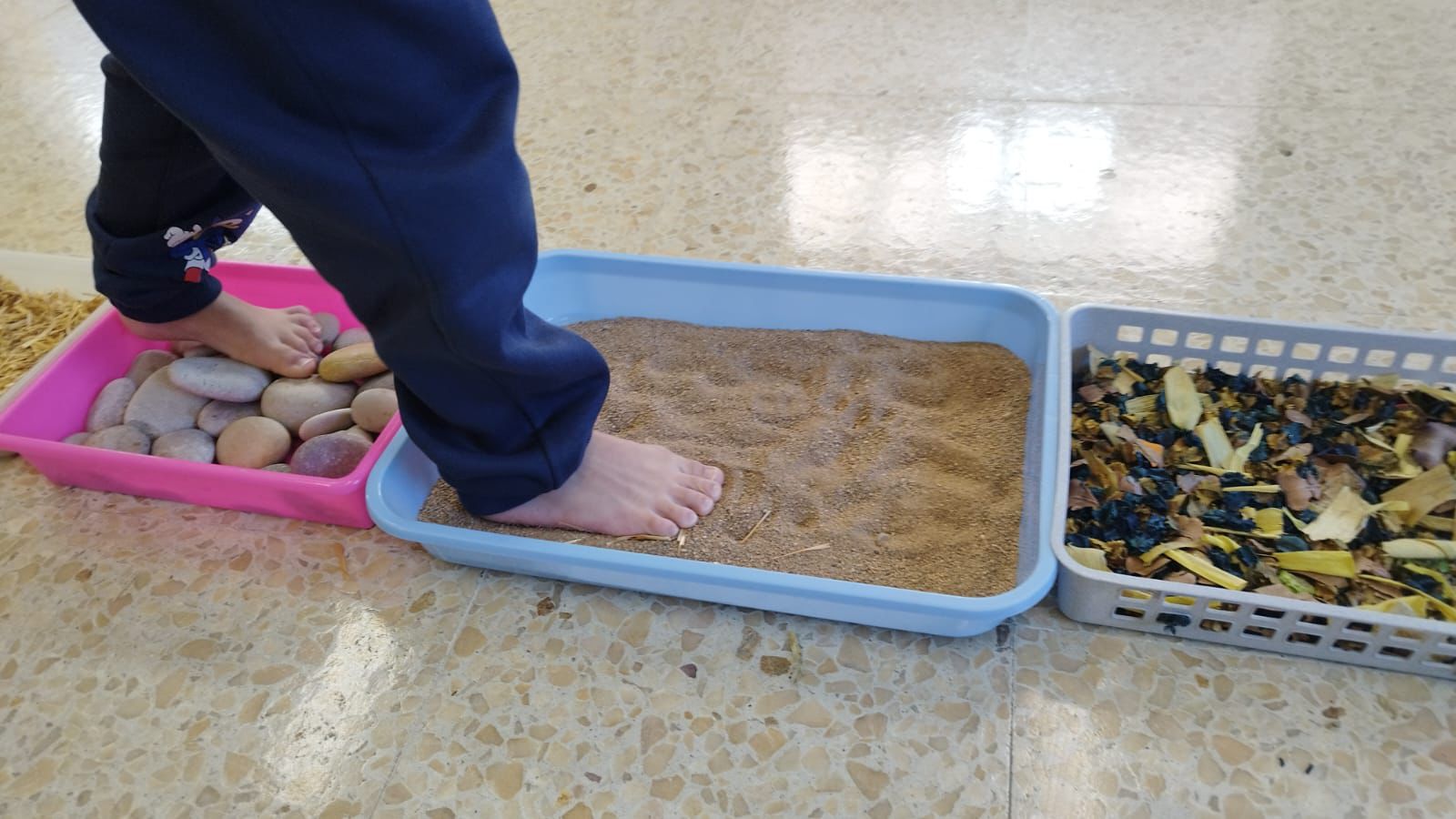 WhatsApp Image 2026-01-28 at 14.34.46