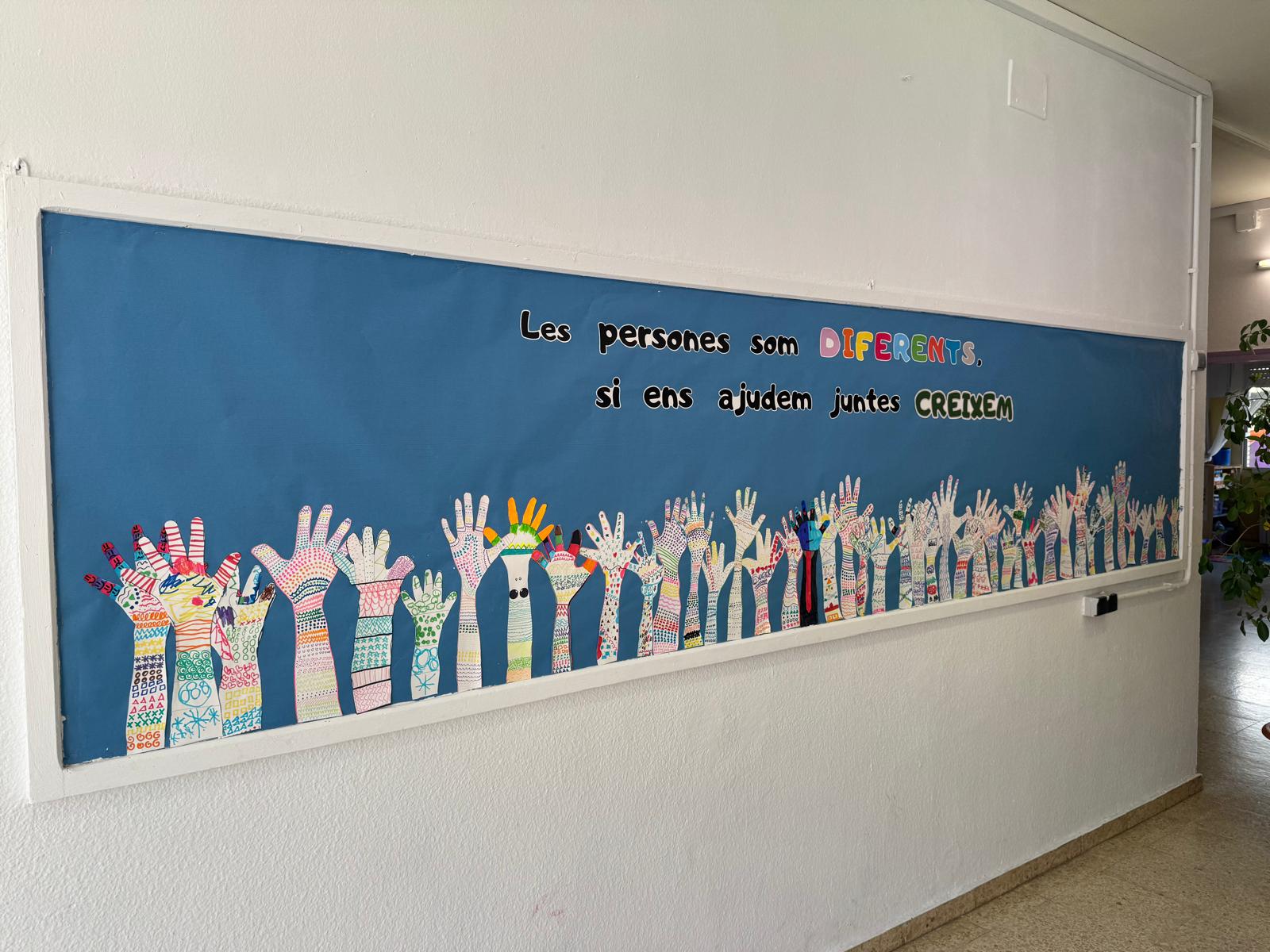 WhatsApp Image 2026-01-30 at 12.10.57