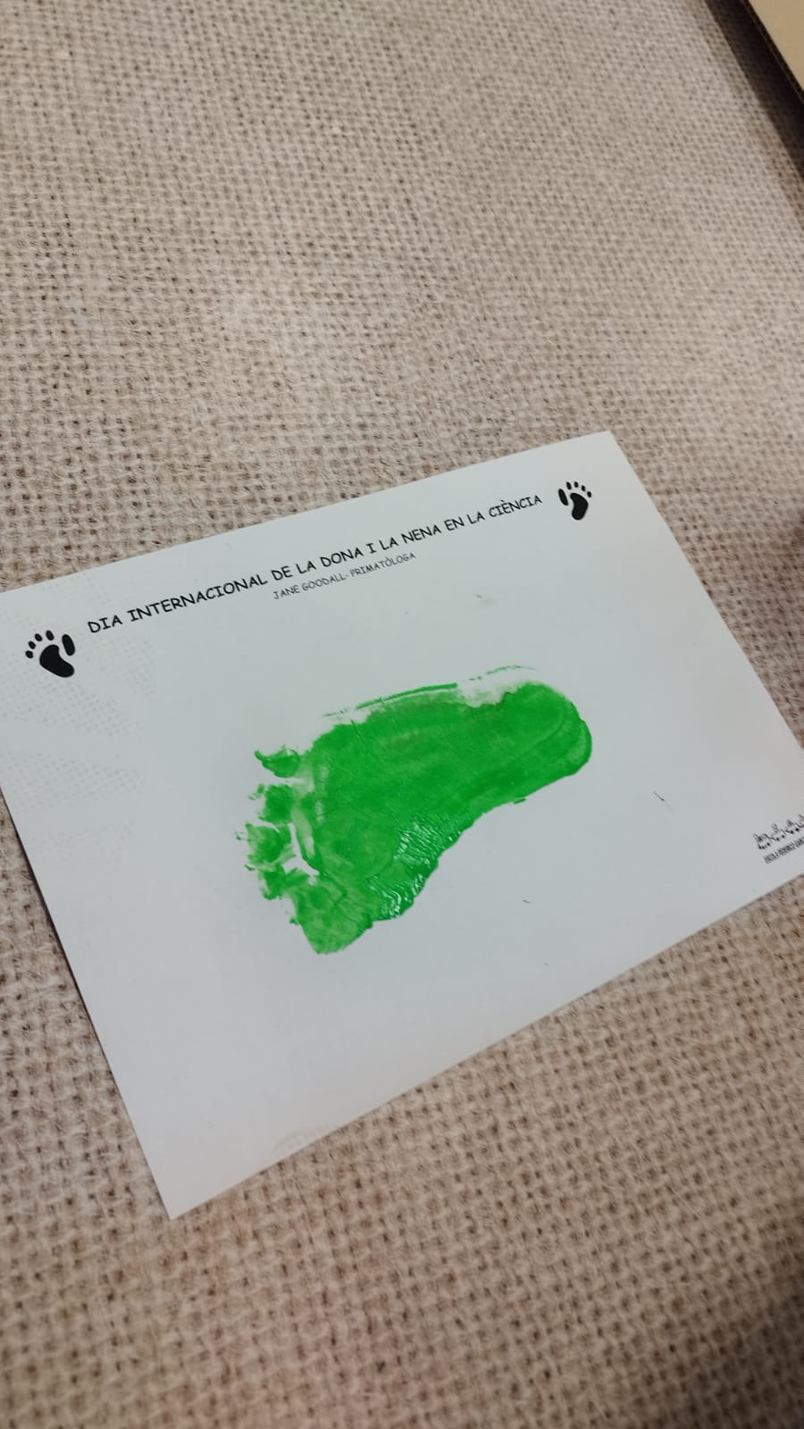 WhatsApp Image 2026-02-12 at 16.48.51 (1)