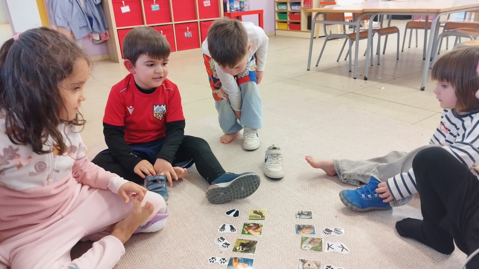 WhatsApp Image 2026-02-12 at 16.48.52