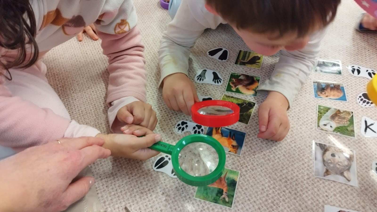 WhatsApp Image 2026-02-12 at 16.48.53 (1)