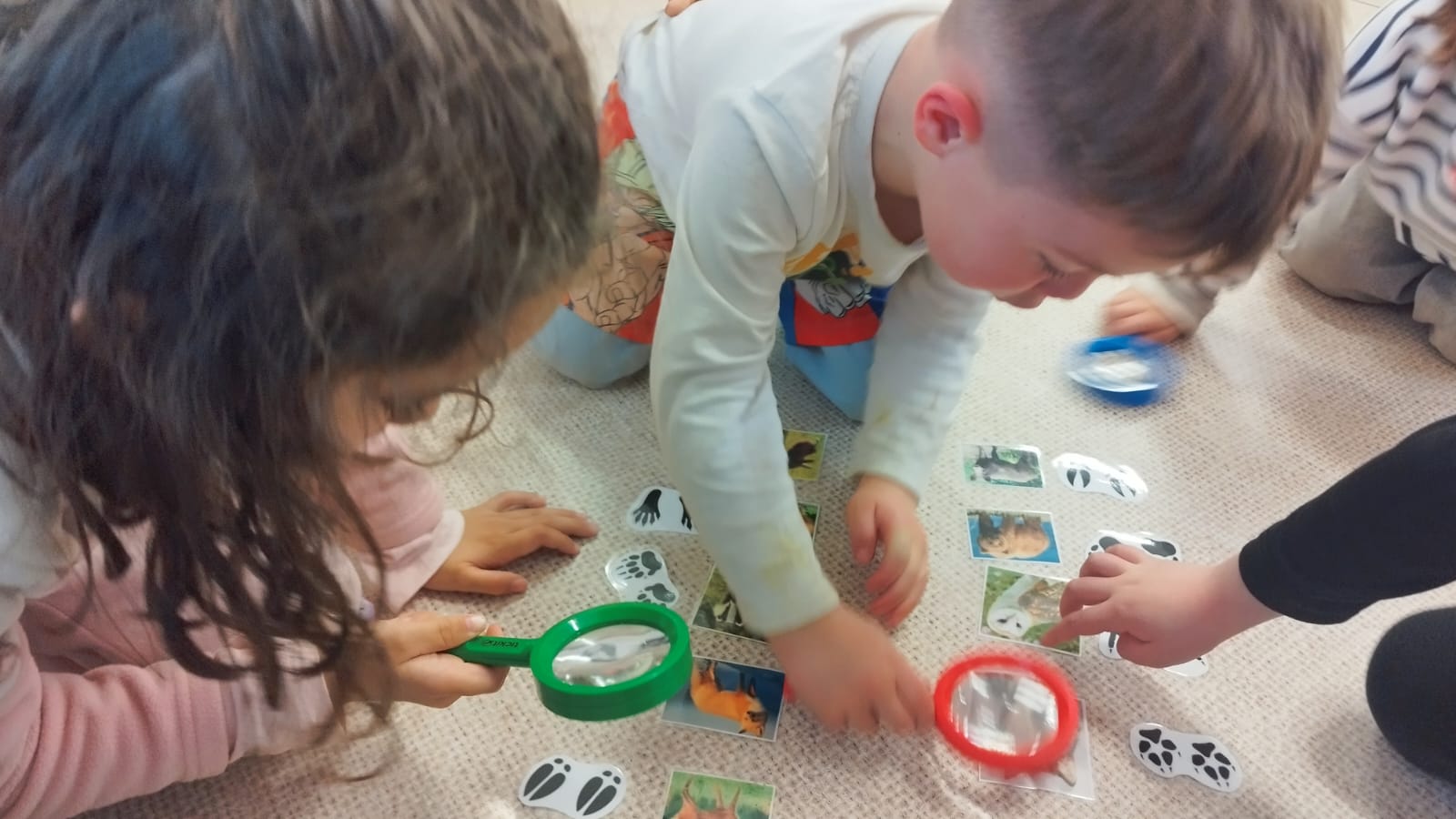 WhatsApp Image 2026-02-12 at 16.48.53