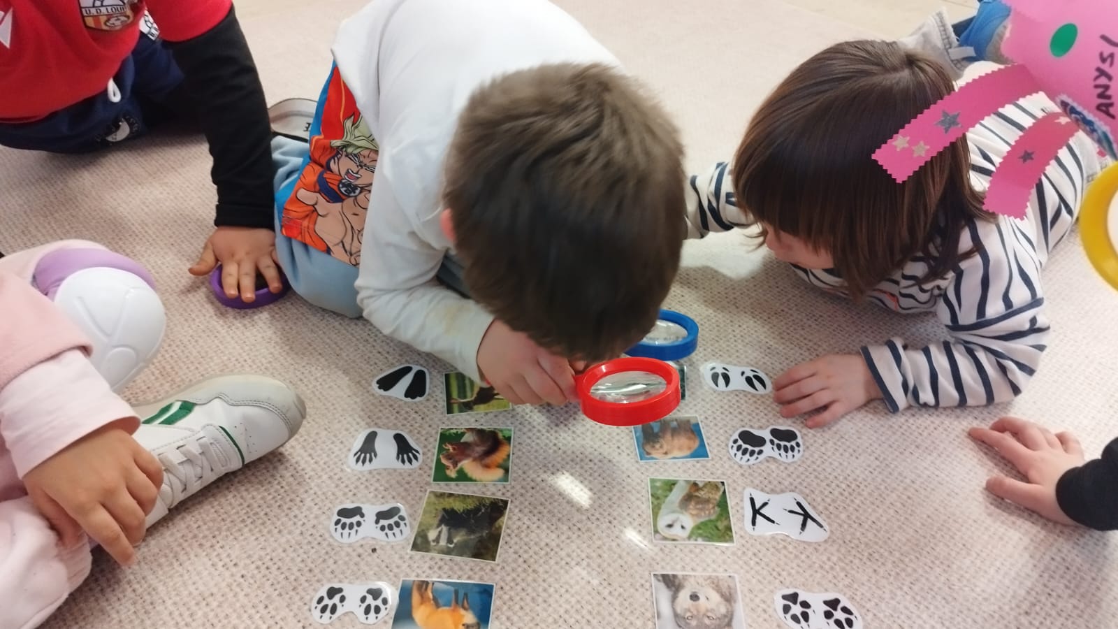 WhatsApp Image 2026-02-12 at 16.48.54 (1)