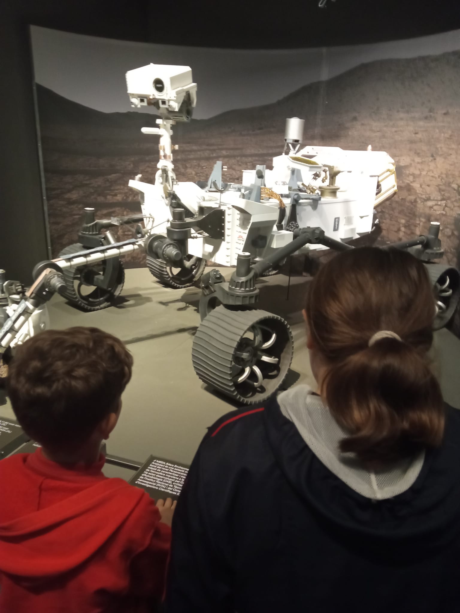 WhatsApp Image 2026-03-02 at 08.31.35