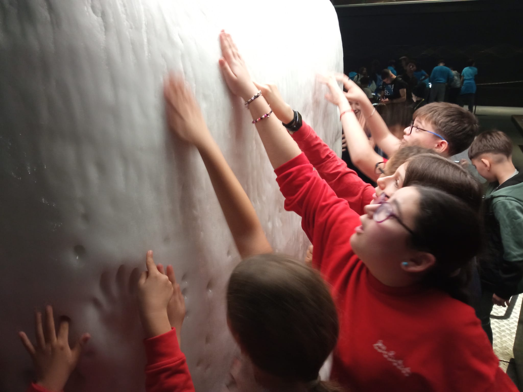 WhatsApp Image 2026-03-02 at 08.31.36 (2)