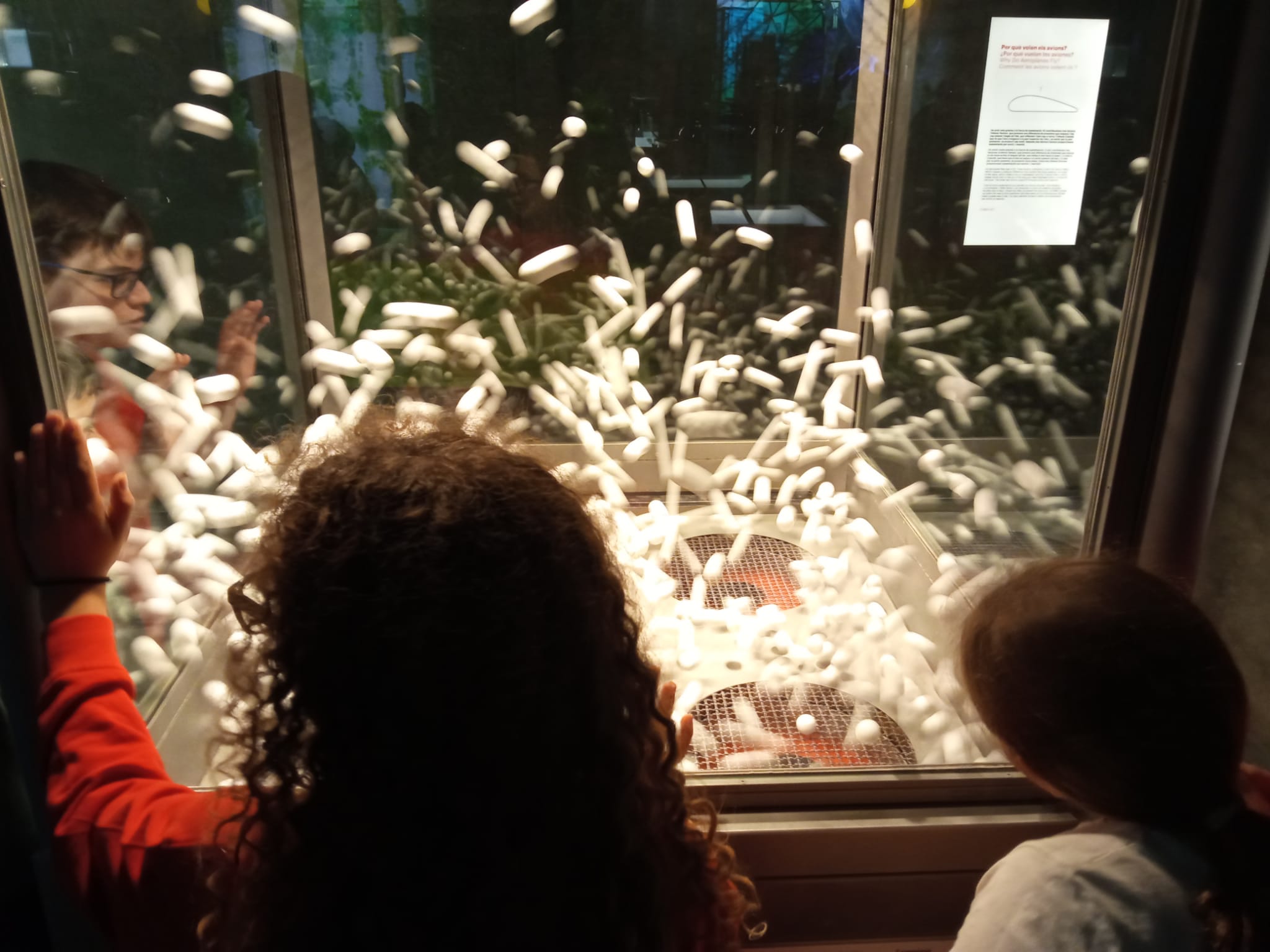 WhatsApp Image 2026-03-02 at 08.31.36 (3)