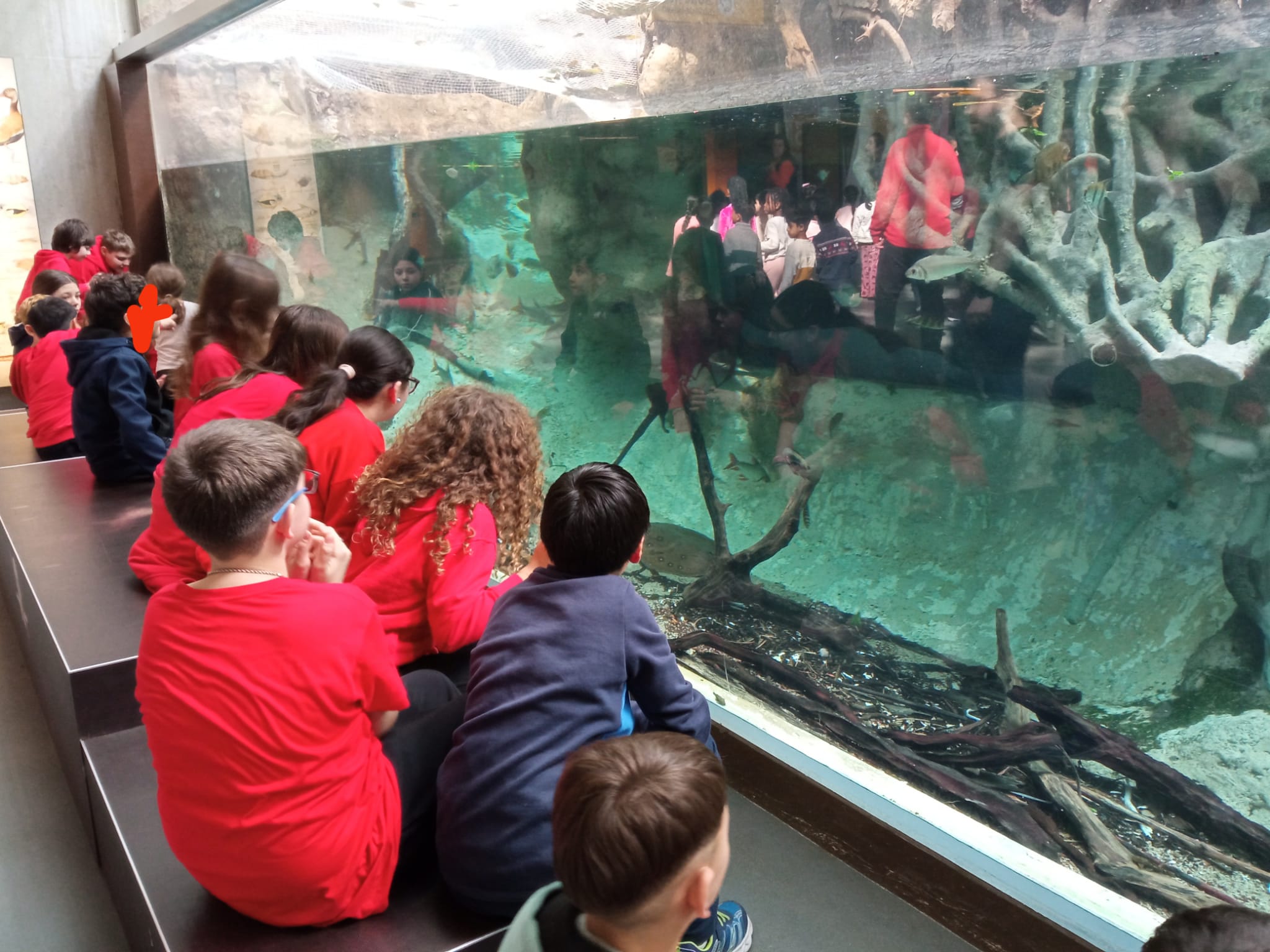 WhatsApp Image 2026-03-02 at 08.31.36 (4)