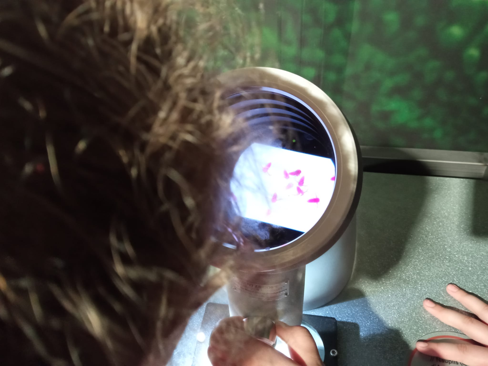 WhatsApp Image 2026-03-02 at 08.31.36