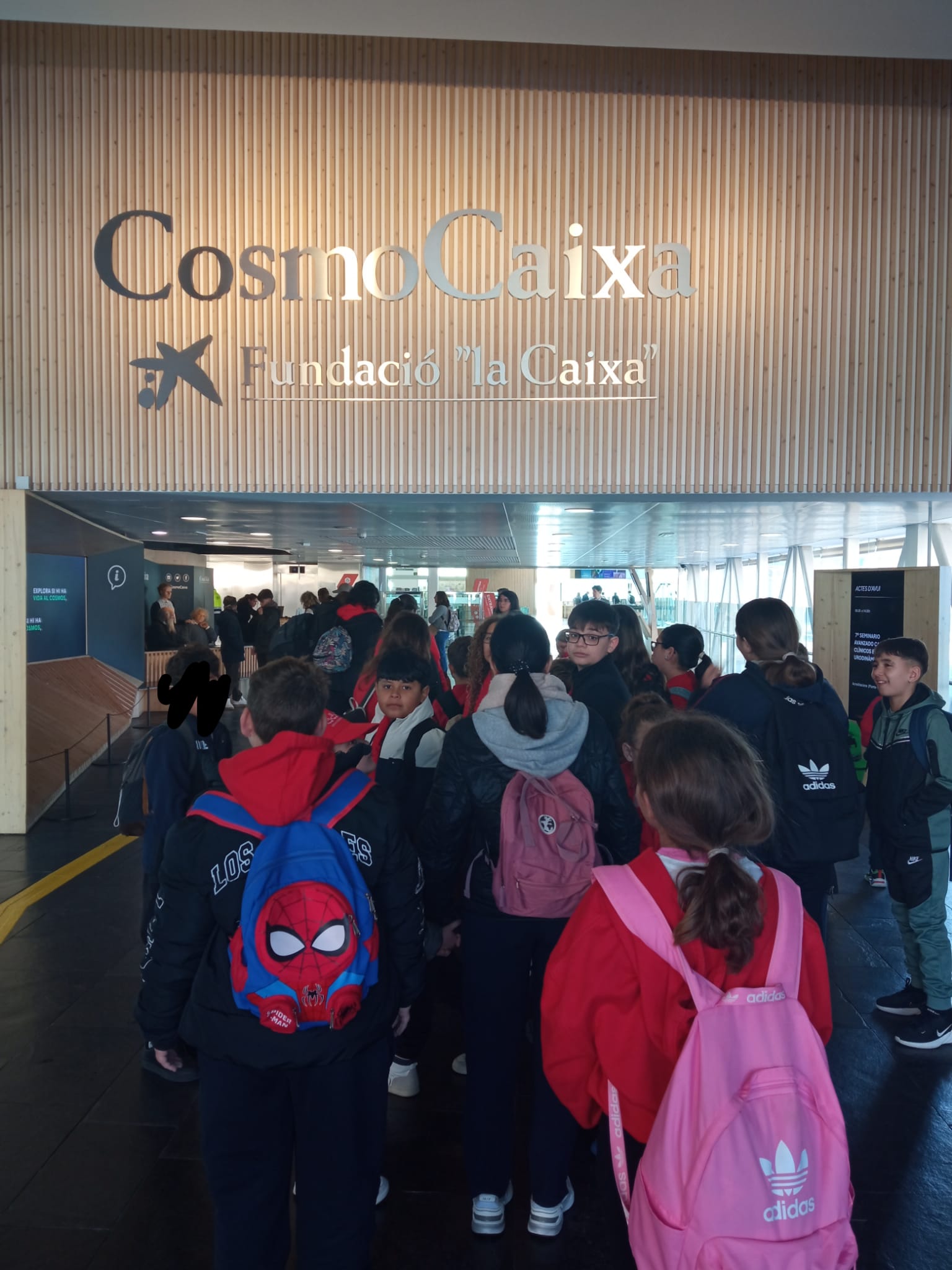 WhatsApp Image 2026-03-02 at 08.31.37 (2)