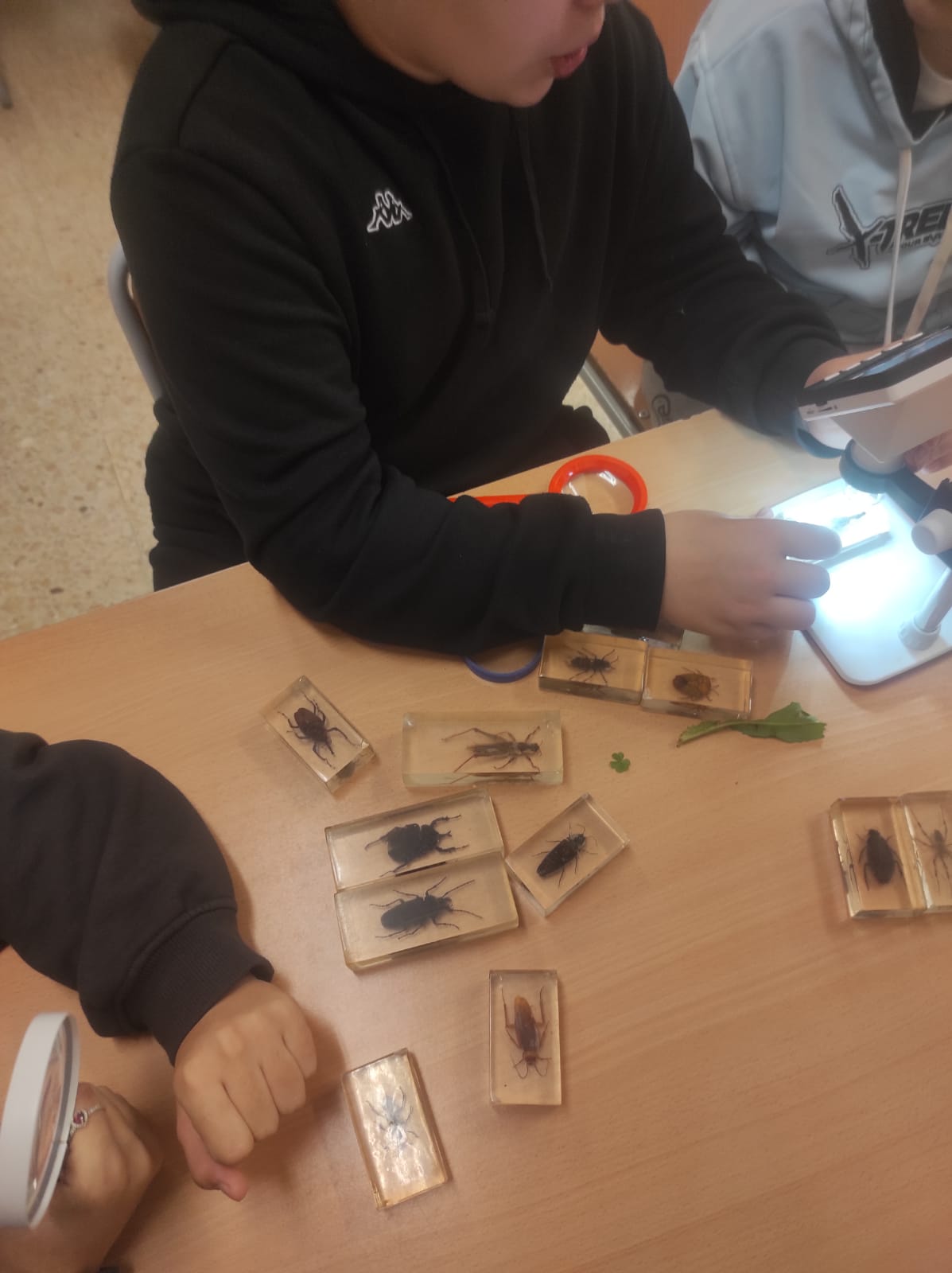 WhatsApp Image 2026-03-13 at 13.21.33 (1)