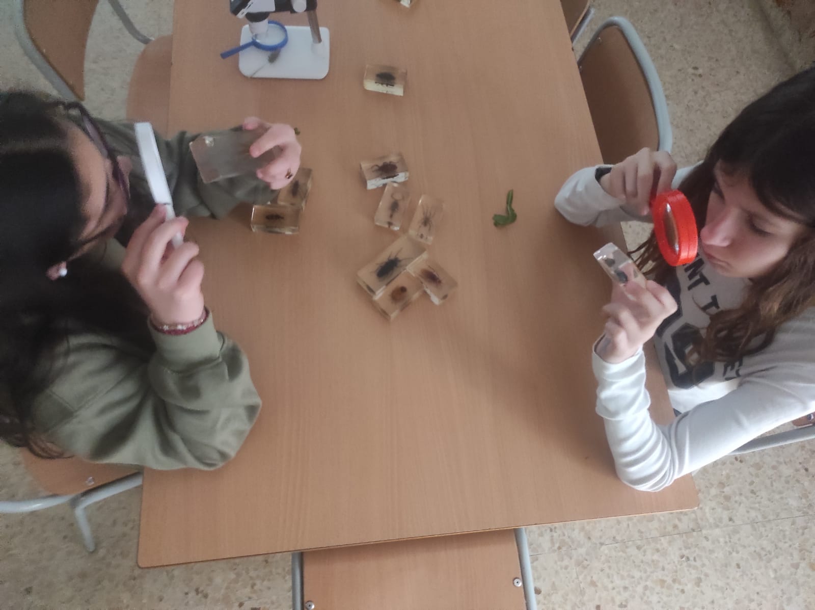 WhatsApp Image 2026-03-13 at 13.21.33 (2)