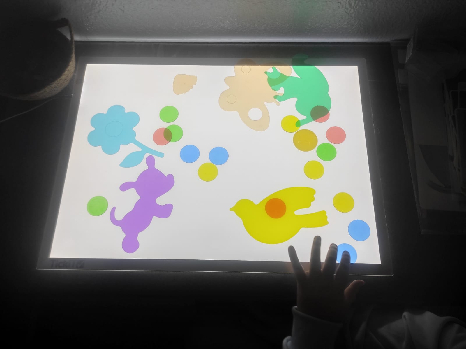 WhatsApp Image 2026-03-13 at 13.21.33 (4)