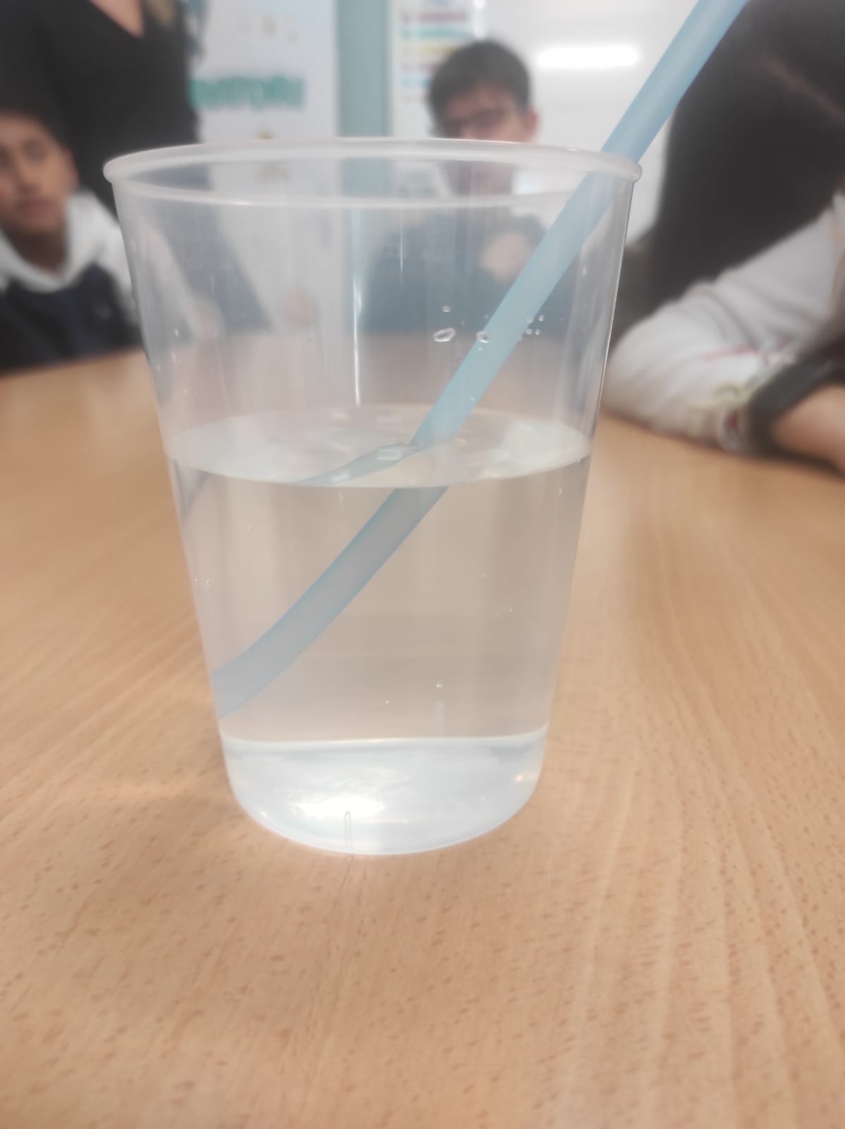 WhatsApp Image 2026-03-13 at 13.21.33 (7)