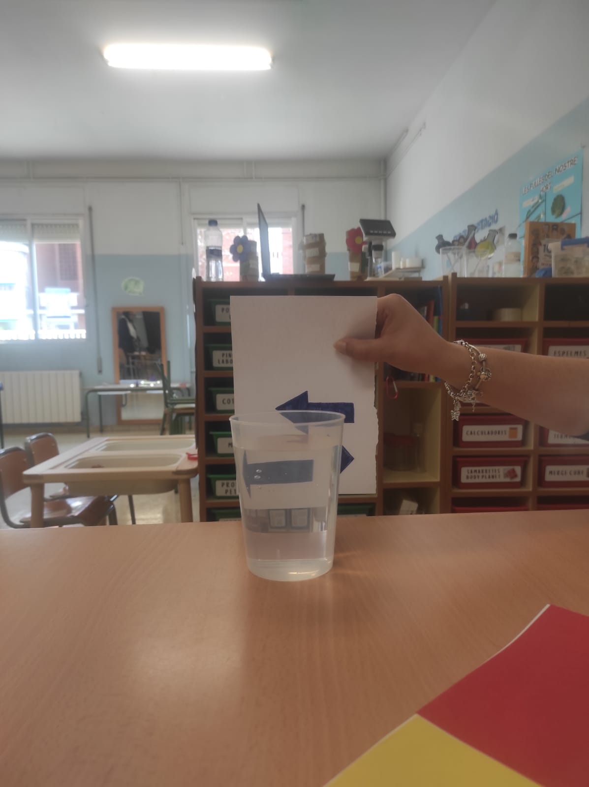 WhatsApp Image 2026-03-13 at 13.21.33 (8)