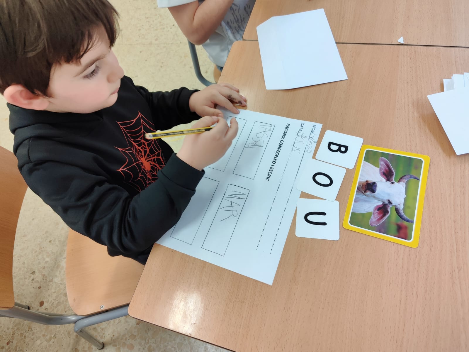 WhatsApp Image 2026-03-25 at 19.40.13 (4)