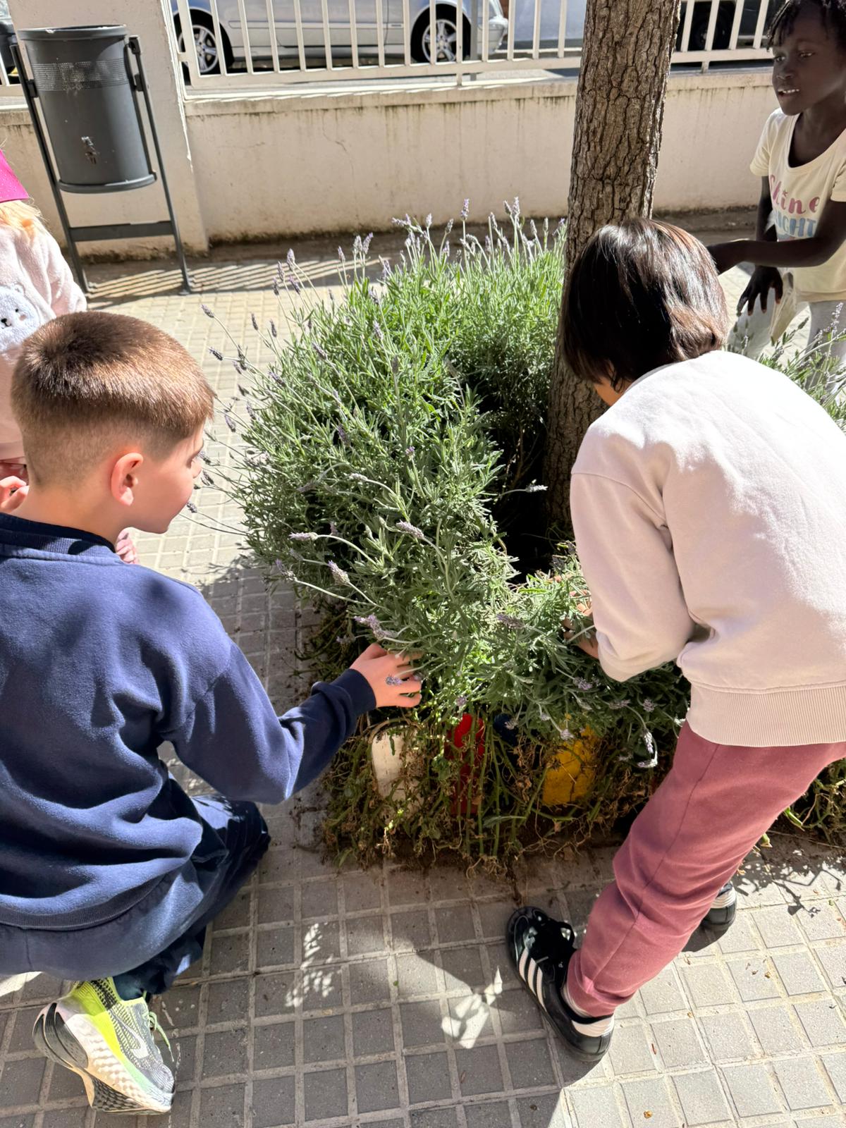 WhatsApp Image 2026-03-27 at 13.13.37 (3)