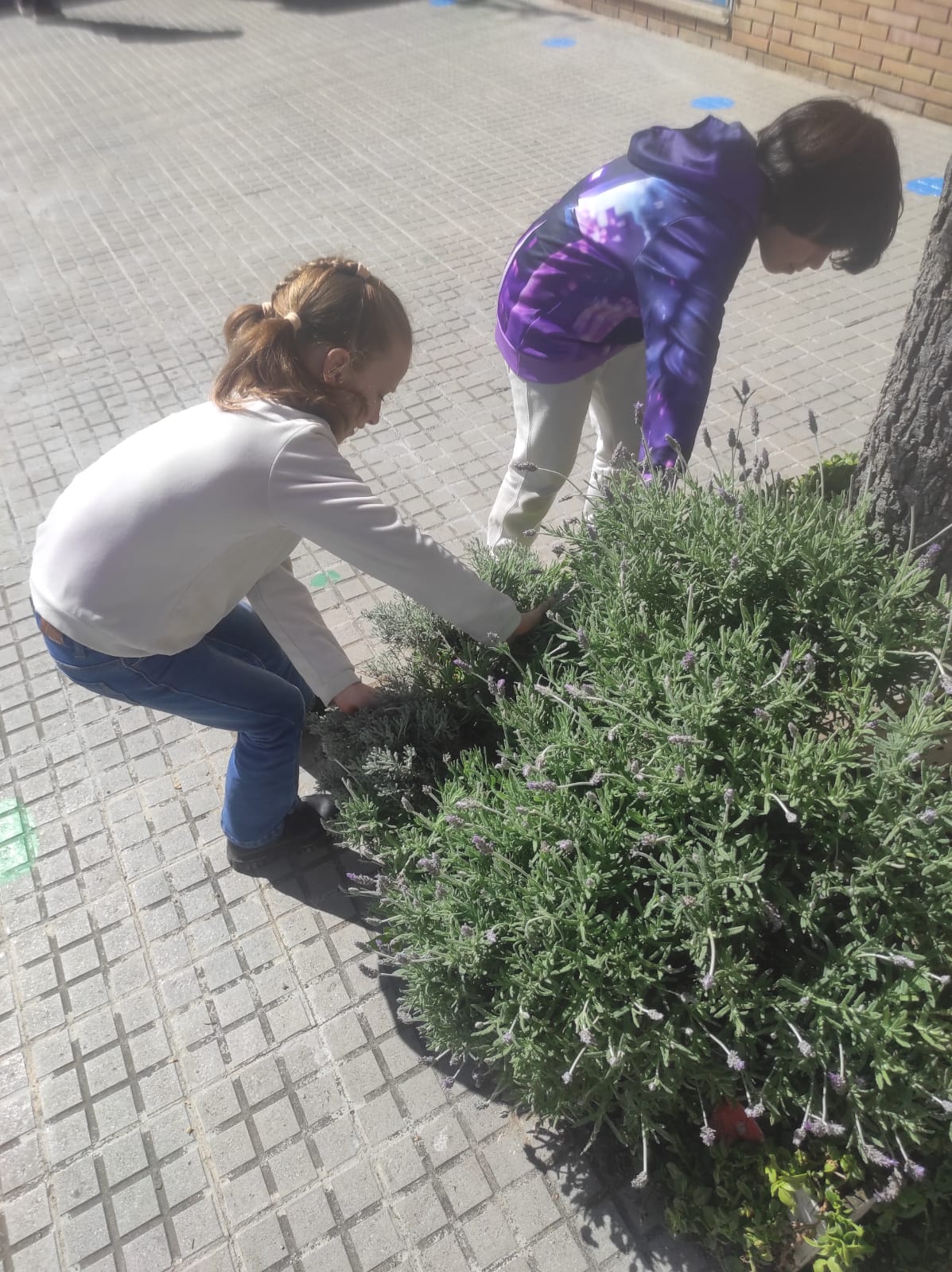 WhatsApp Image 2026-03-27 at 13.13.37 (4)