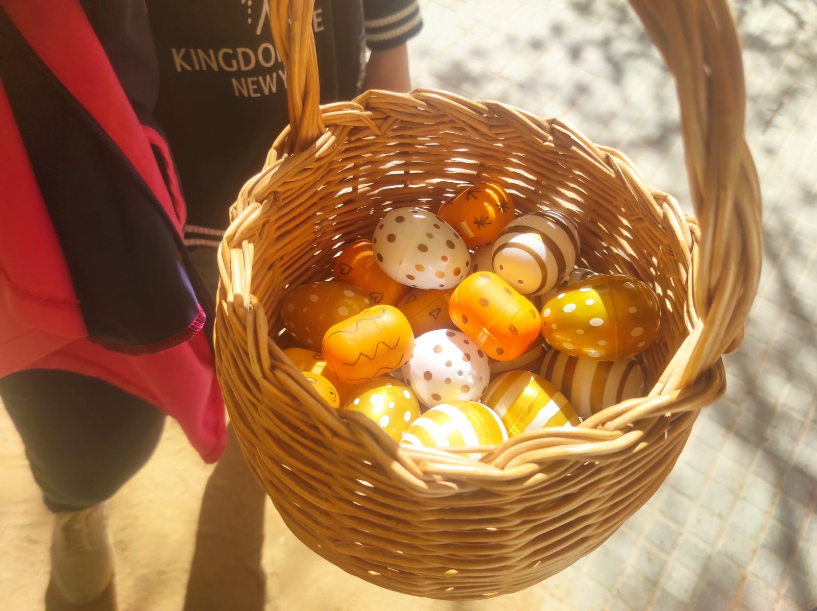 WhatsApp Image 2026-03-27 at 13.13.37 (5)