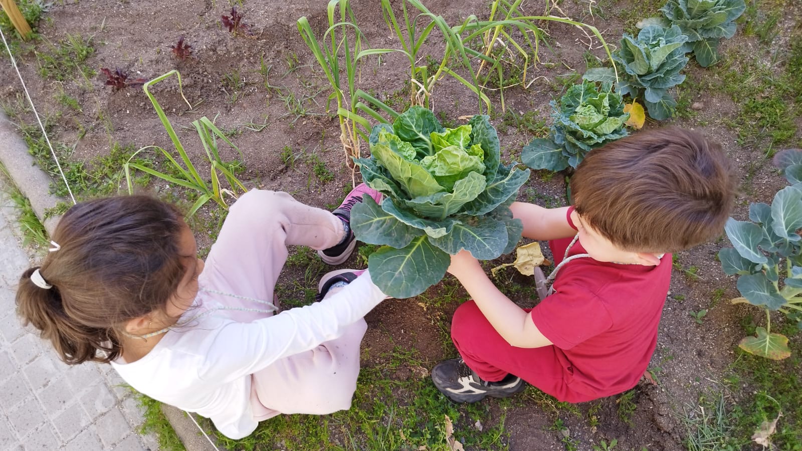 WhatsApp Image 2026-04-13 at 09.08.22 (1)