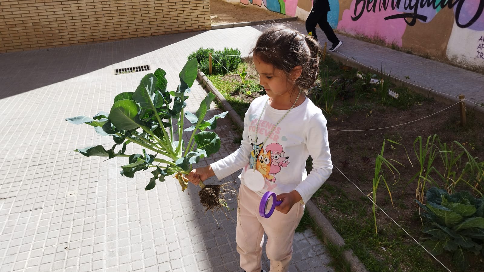 WhatsApp Image 2026-04-13 at 09.08.22 (2)