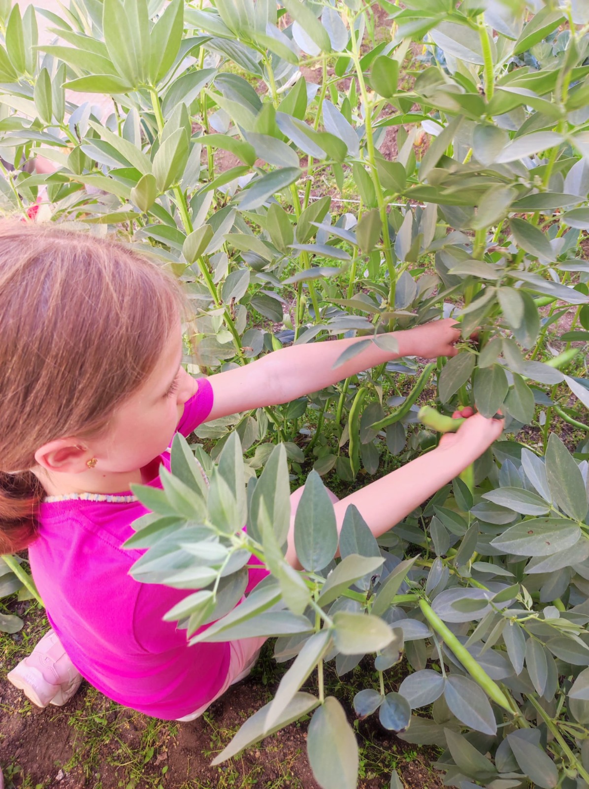 WhatsApp Image 2026-04-13 at 09.08.22 (3)