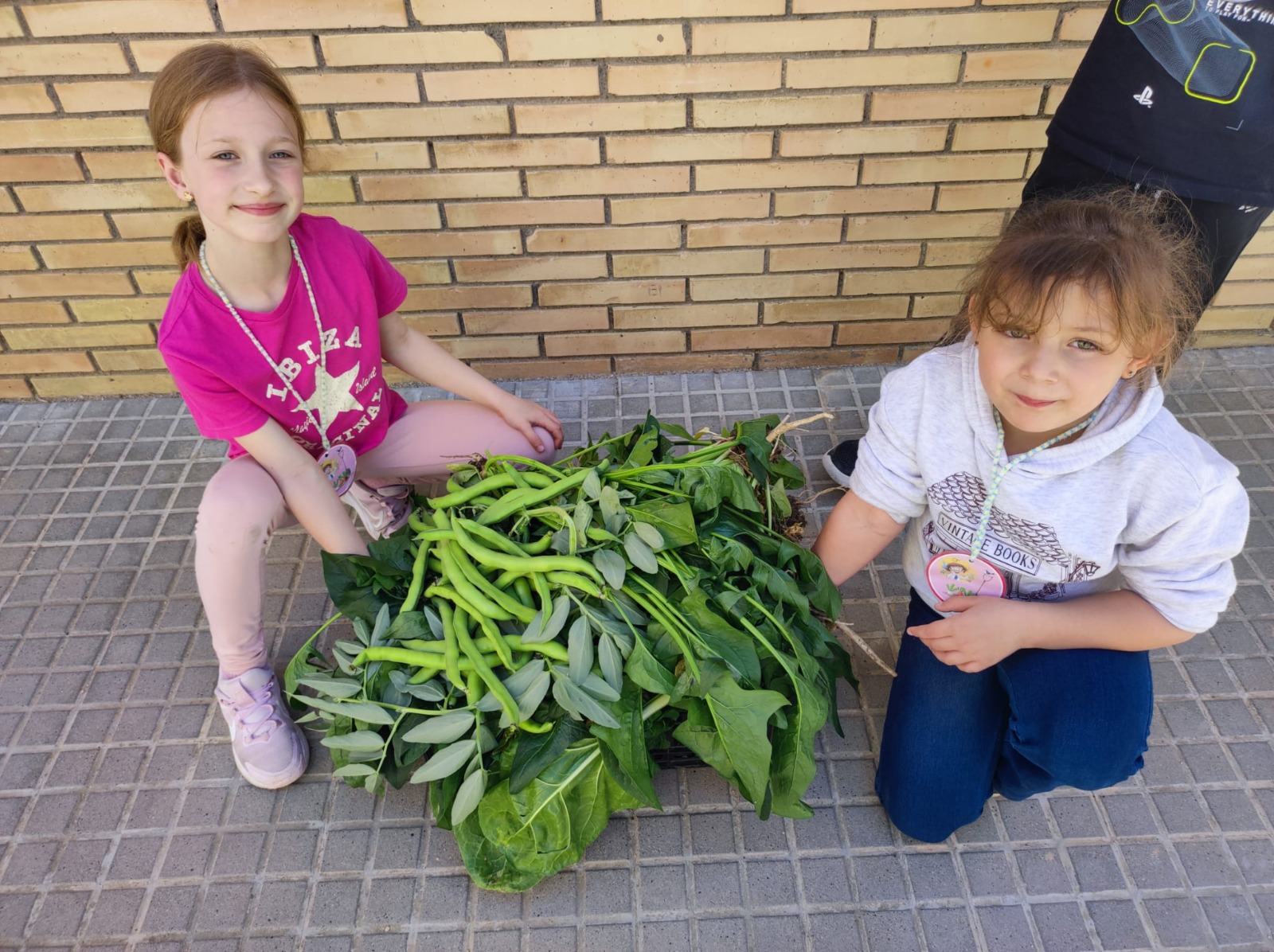 WhatsApp Image 2026-04-13 at 09.08.22 (4)