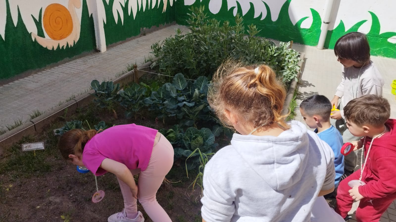 WhatsApp Image 2026-04-13 at 09.08.22 (5)