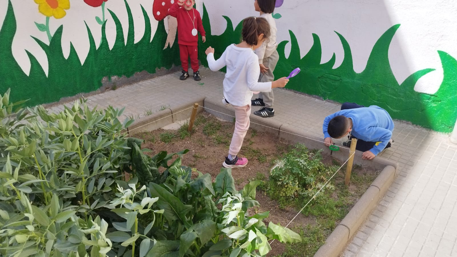 WhatsApp Image 2026-04-13 at 09.08.22 (6)