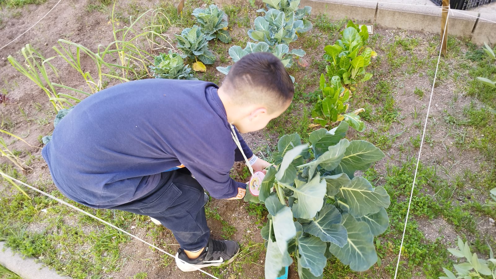 WhatsApp Image 2026-04-13 at 09.08.22